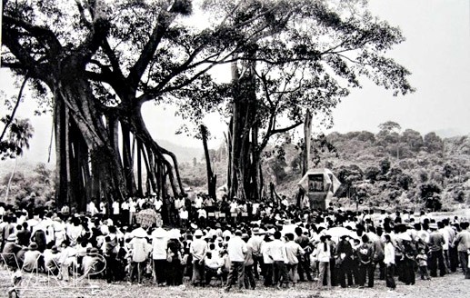 Révolution d’août 1945: des témoins se souviennent - ảnh 1